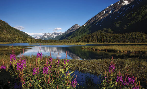 Alaska's Chugach National Forest covers 5.4 million acres, which is roughly the size of New Hampshire. It is home to thousands of glaciers and has more than 500 miles of trails