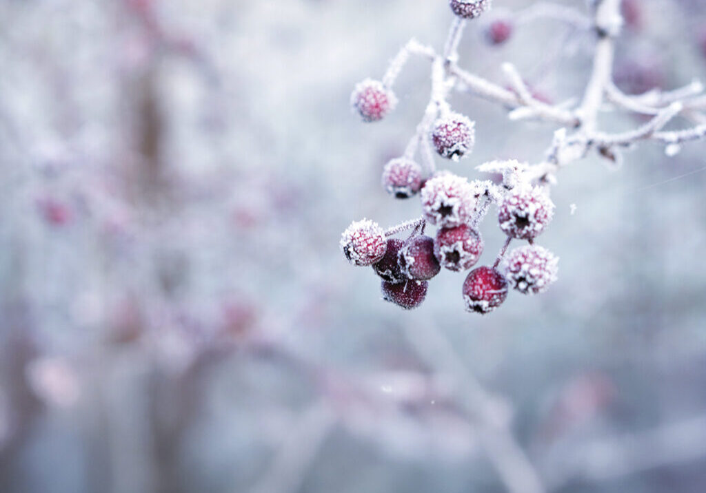 galina-n-AgWVcQz1bOA-unsplash-1